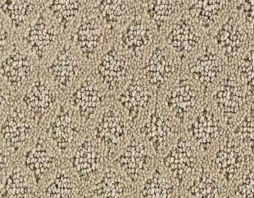 product_home_carpet
